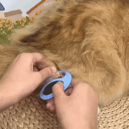 Corta Nós de Pelos para Gatos