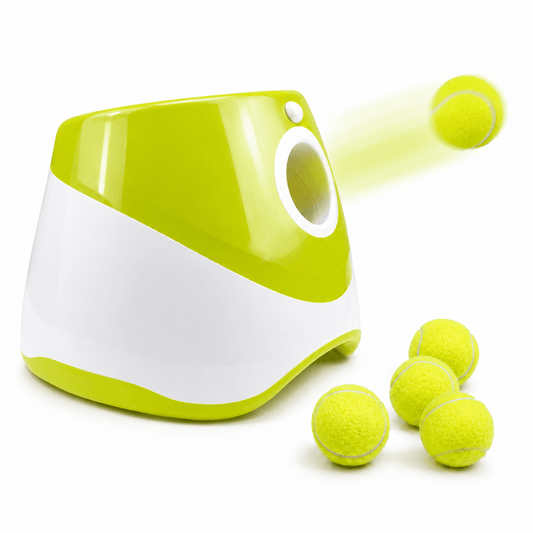 Brinquedo Lançador de Bola para Cães
