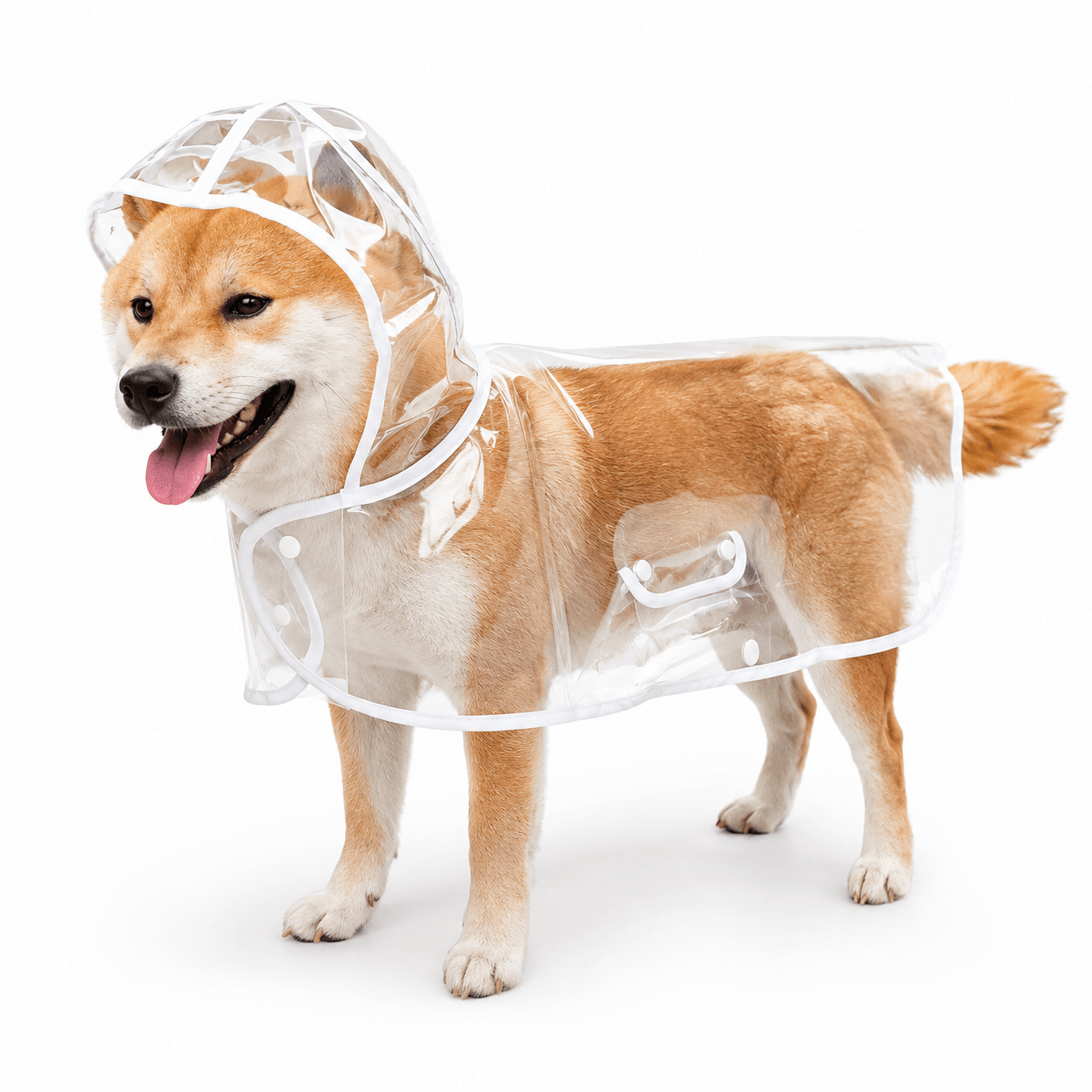 Capa de Chuva para Cães