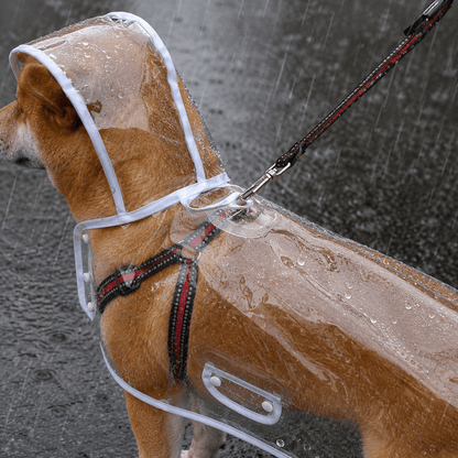 Capa de Chuva para Cães