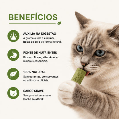 Bastões de Grama Comestíveis para Gatos