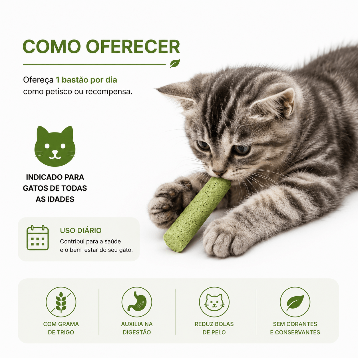 Bastões de Grama Comestíveis para Gatos