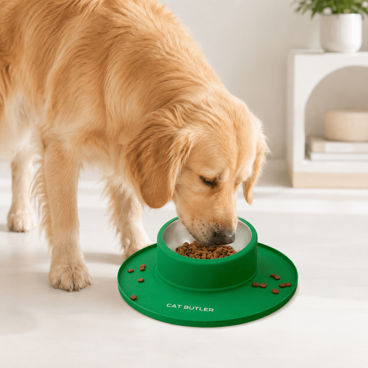 Tigela com Base Antiderrapante para Cães