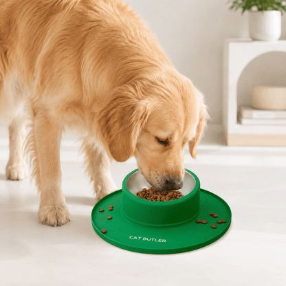 Tigela com Base Antiderrapante para Cães