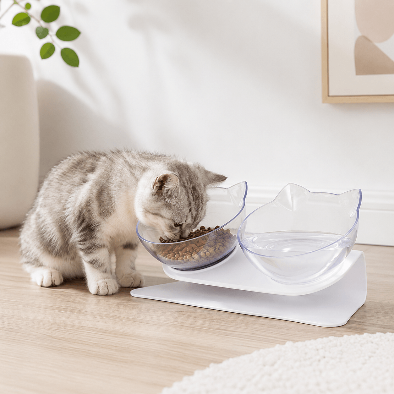 Tigela Elevada e Antiderrapante para Gatos