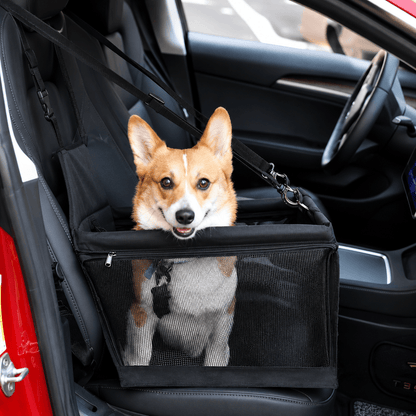 Assento de Segurança Portátil Para Cães