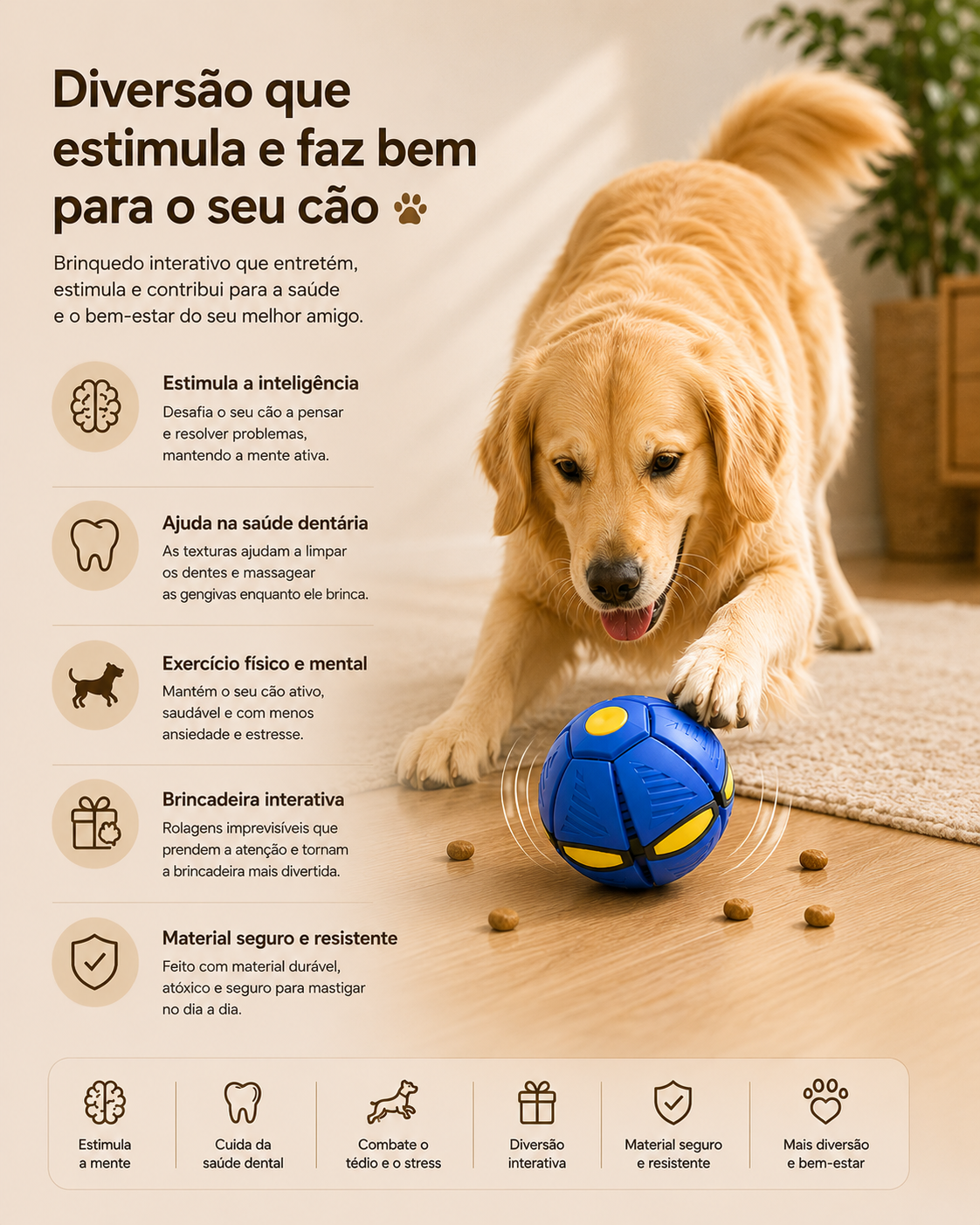 Brinquedo Bola Interativa Encantada para Cães
