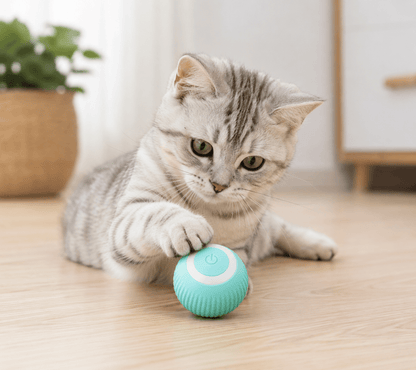 Brinquedo Bola Inteligente Elétrica para Gatos