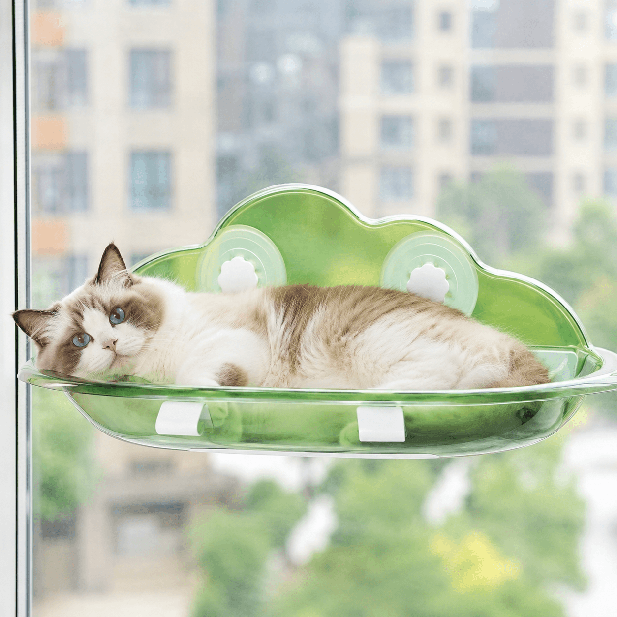 Cama Suspensa Moderna para Gatos
