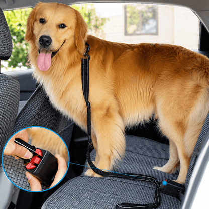 Cinto de Segurança de Carro para Cães com Trela