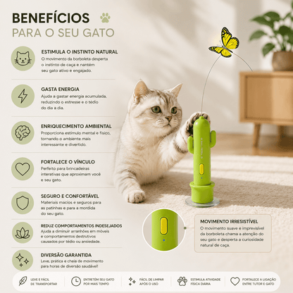 Brinquedo Cacto Elétrico para gatos