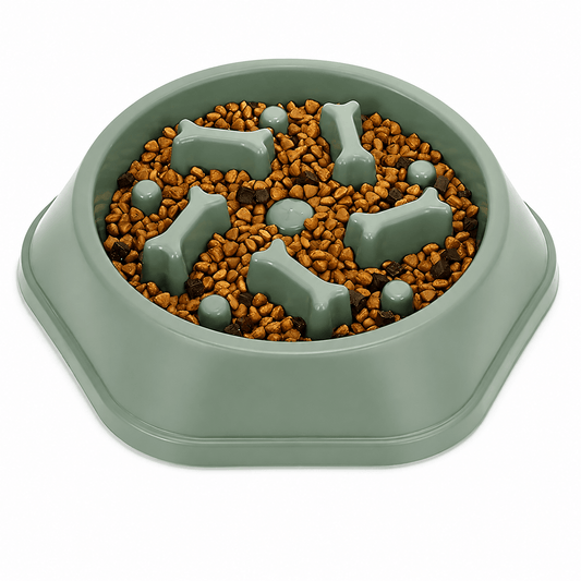 Alimentador Lento para Cães