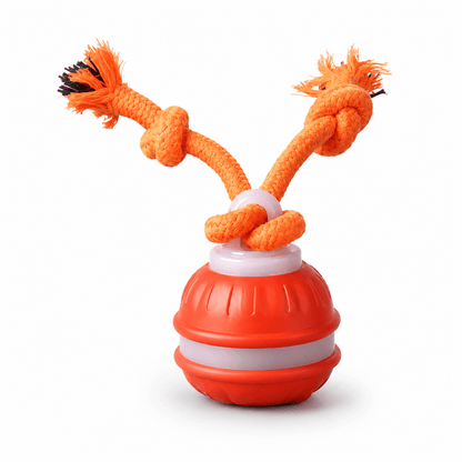 Brinquedo Giratório Interativo para Cães