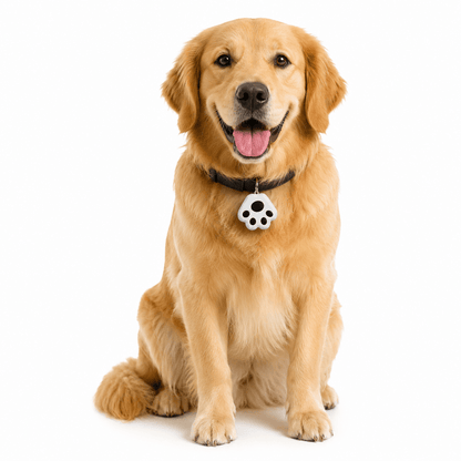 Rastreador Inteligente para Cães