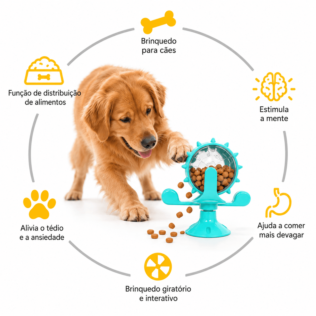 Alimentador Interativo Lento para Cães