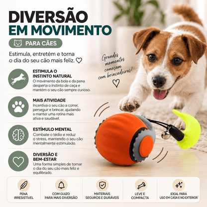 Bola Pena Elétrica para Cão