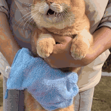 Luva de Microfibra de banho para Gatos