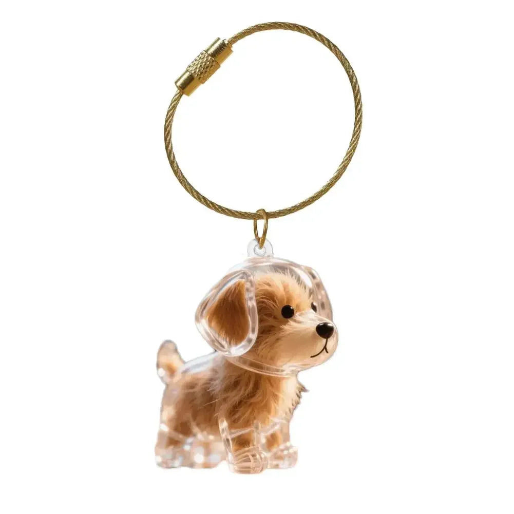 Porta Chaves de Acrílico para Pelos de Cães