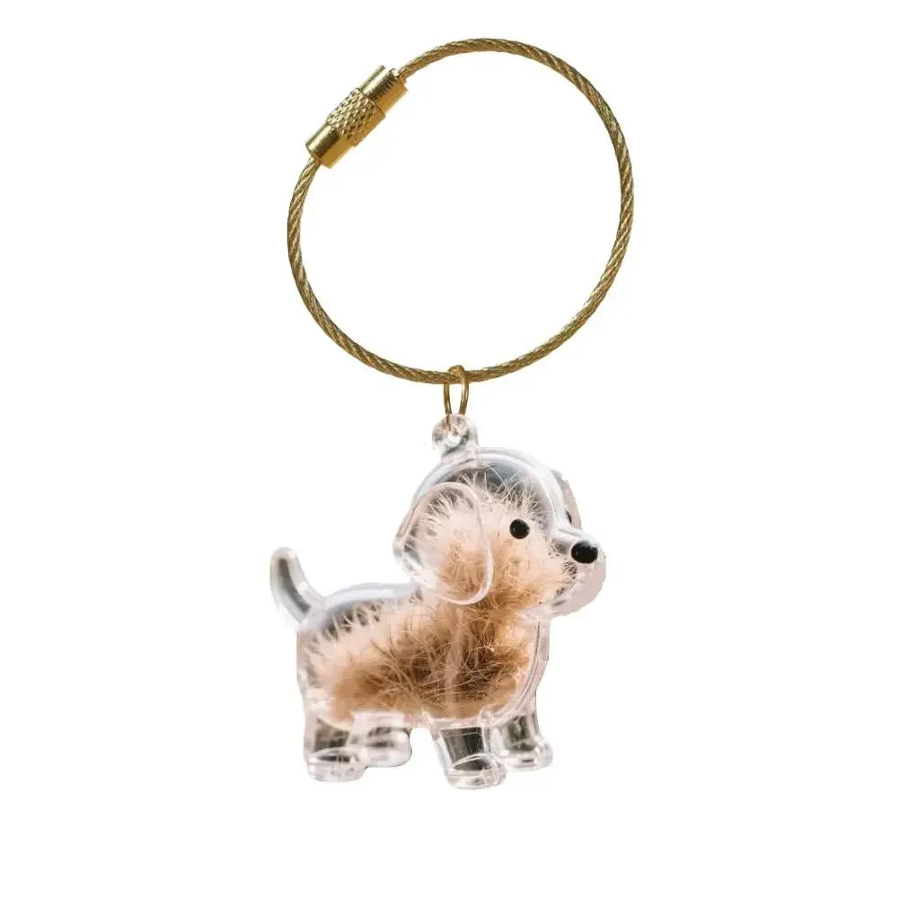 Porta Chaves de Acrílico para Pelos de Cães