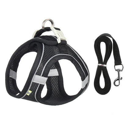Peitoral Ajustável com Guia para Gatos