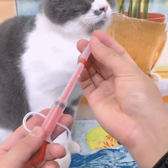 Seringa Dosadora para Gatos