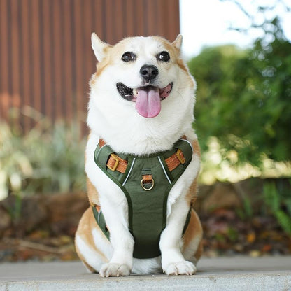 Coleira Peitoral para Cães