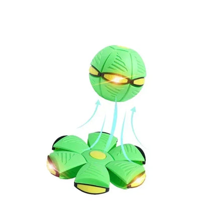 Brinquedo Bola Interativa Encantada para Cães