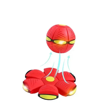 Brinquedo Bola Interativa Encantada para Cães